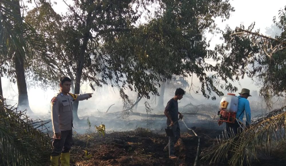 Lahan Gambut di Siak Terbakar, Kapolres: Tak Ada Toleransi terhadap Pembakaran Lahan