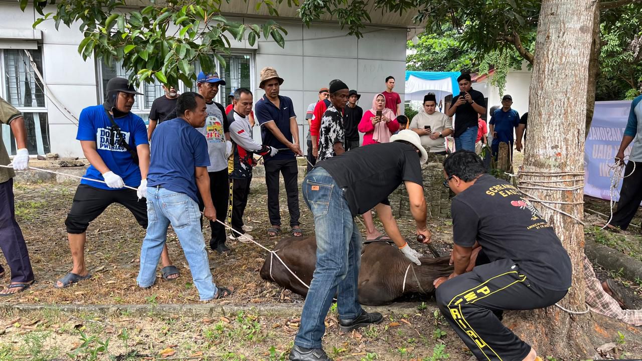 PWI Riau Tebar Berkah Iduladha Lewat Enam Sapi dan Satu Kambing Kurban