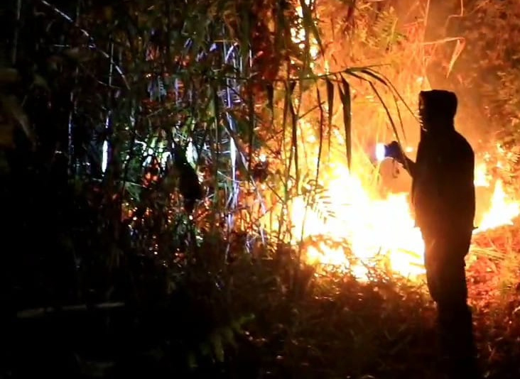 Tiga Hektare Semak Belukar Terbakar di Sungai Beringin Tembilahan