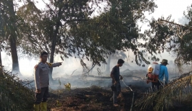 Lahan Gambut di Siak Terbakar, Kapolres: Tak Ada Toleransi terhadap Pembakaran Lahan